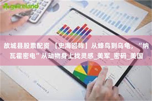 故城县股票配资 【史海回眸】从蜂鸟到乌龟，“纳瓦霍密电”从动物身上找灵感_美军_密码_美国