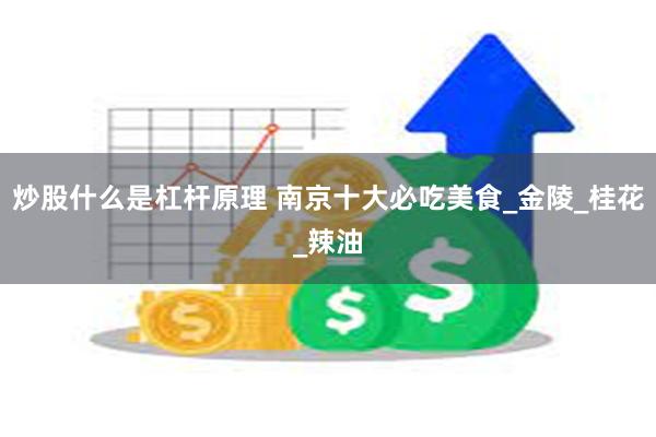 炒股什么是杠杆原理 南京十大必吃美食_金陵_桂花_辣油