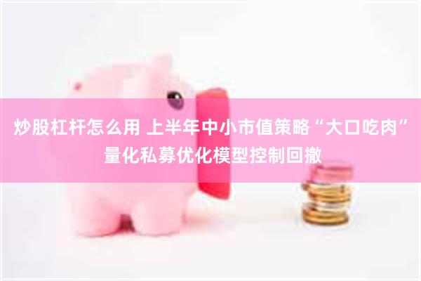 炒股杠杆怎么用 上半年中小市值策略“大口吃肉” 量化私募优化模型控制回撤