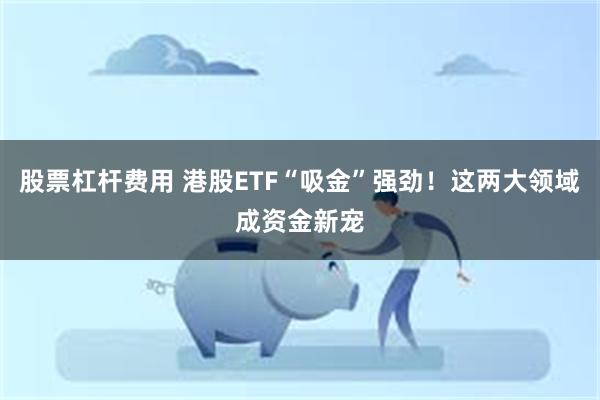股票杠杆费用 港股ETF“吸金”强劲！这两大领域成资金新宠