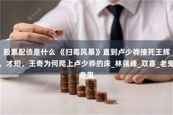 股票配债是什么 《扫毒风暴》直到卢少骅撞死王辉，才知，王奇为何爬上卢少骅的床_林强峰_双喜_老鬼