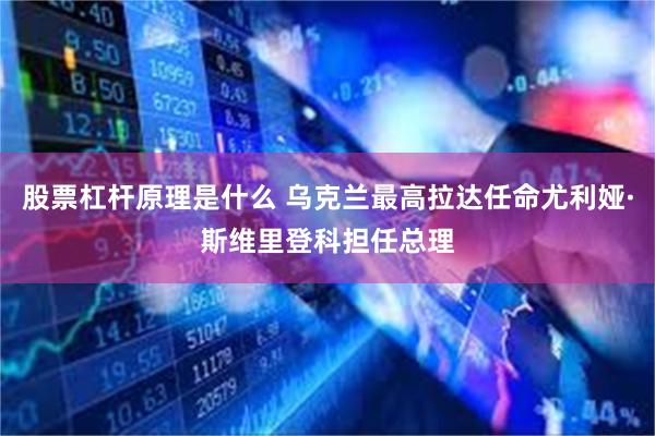 股票杠杆原理是什么 乌克兰最高拉达任命尤利娅·斯维里登科担任总理