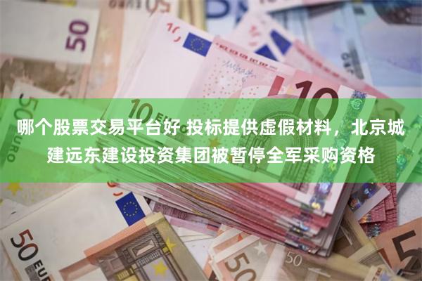 哪个股票交易平台好 投标提供虚假材料，北京城建远东建设投资集团被暂停全军采购资格