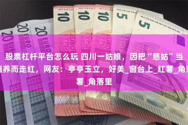 股票杠杆平台怎么玩 四川一姑娘，因把“慈姑”当绿植养而走红，网友：亭亭玉立，好美_窗台上_红薯_角落里