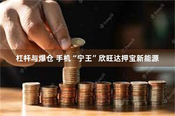 杠杆与爆仓 手机“宁王”欣旺达押宝新能源