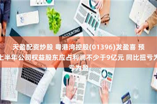 天盈配资炒股 粤港湾控股(01396)发盈喜 预期上半年公司权益股东应占利润不少于9亿元 同比扭亏为盈