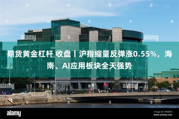 期货黄金杠杆 收盘丨沪指缩量反弹涨0.55%，海南、AI应用板块全天强势