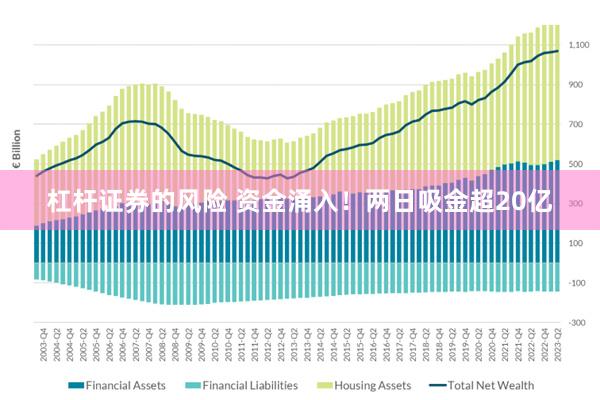 杠杆证券的风险 资金涌入！两日吸金超20亿